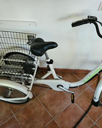 Triciclo Adulti elettrico