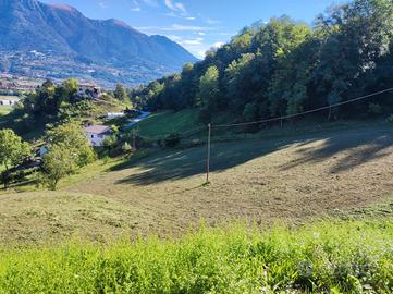 Terreno agricolo, prato,.