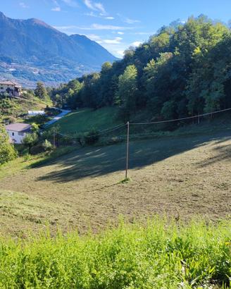 Terreno agricolo, prato,.