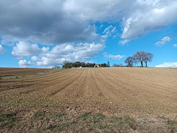 Terreno Agricolo 6 Ettari