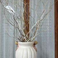 vaso con rani secchi 