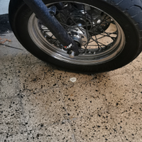 Ruota/Cerchio/Pneumatico Harley Davidson Sportster