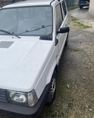 FIAT PANDA 1000 fire
