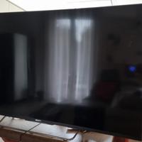 TV Sony 55"
