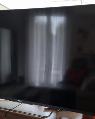 TV Sony 55"