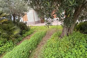 Semi indipendente libera su 4 lati con giardino