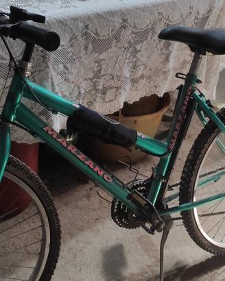 Bicicletta