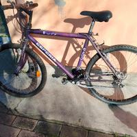 MTB donna