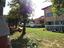 Immagine 7