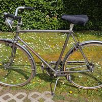 bicicletta 28 pollici uomo