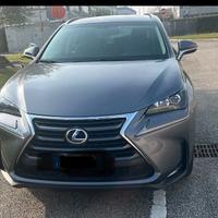 Lexus NX300H modello Icon 4WD