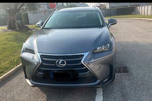 Lexus NX300H modello Icon 4WD