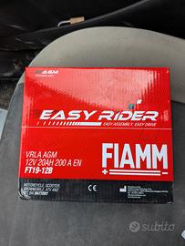 Batterie FIAMM Easy Rider FT19-12B 