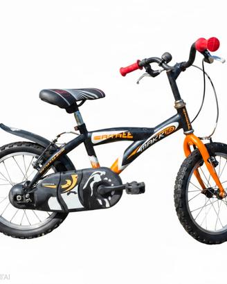 bici 20