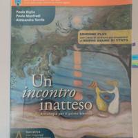 Antologia Un Incontro Inatteso Volume B 