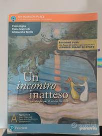 Antologia Un Incontro Inatteso Volume B 