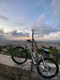 Bicicletta mountain bike