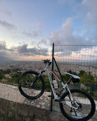 Bicicletta mountain bike