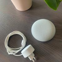 Google home mini