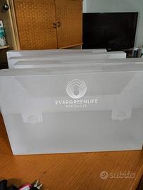 Valigetta EVERGREEN in PVC trasparente