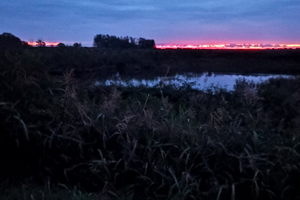 Uscite barca pesca mare