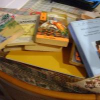 Fantasia di libri