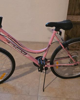 bicicletta 26