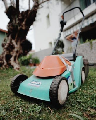 Rasa erba elettrico 