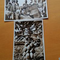 Cartoline delle ex-colonie italiane. 