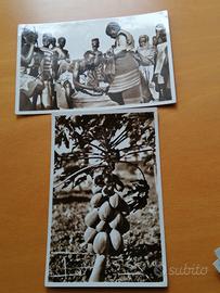 Cartoline delle ex-colonie italiane. 
