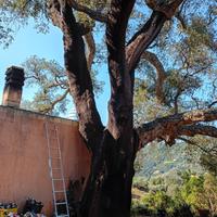 Terreno agro di jerzu con casa a 10 minuti dal mar