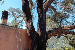 Terreno agro di jerzu con casa a 10 minuti dal mar