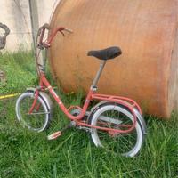 Bicicletta piccola BREVETTI AL.PI.N