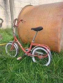 Bicicletta piccola BREVETTI AL.PI.N