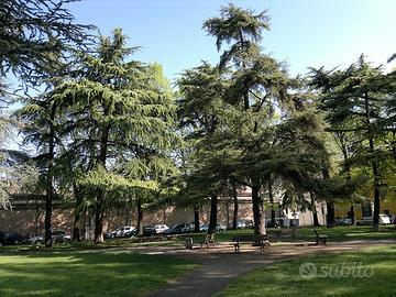 Piazza san zenone app.to mq 105 ristrutturato