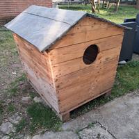 cuccia x cani adulti 