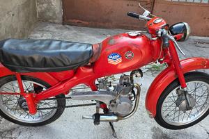Motom 48