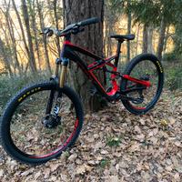 Specialized enduro expert CARBON