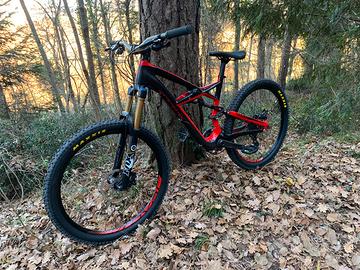 Specialized enduro expert CARBON