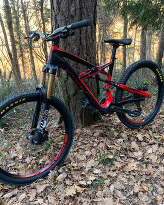Specialized enduro expert CARBON