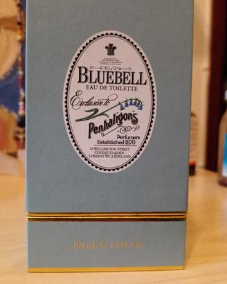 bluebell Penhalingon's 