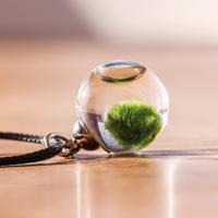 Collana con mini MARIMO Alga Palla pianta vera