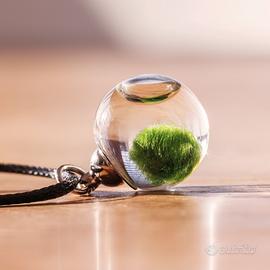 Collana con mini MARIMO Alga Palla pianta vera