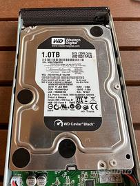 Hard Disk 3,5" Western Digital Caviar Black 1Tb