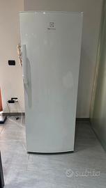 Freezer Electrolux