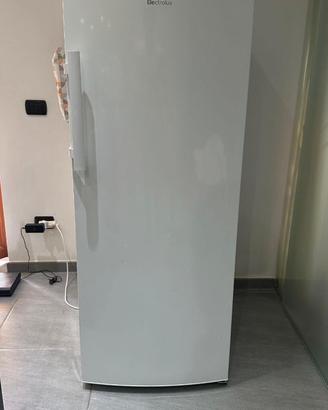 Freezer Electrolux