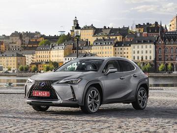 LEXUS UX Full Electric UX Hybrid Business