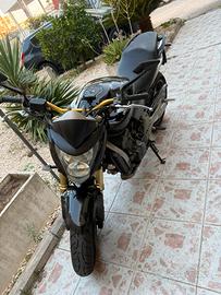 Hornet 600 2007
