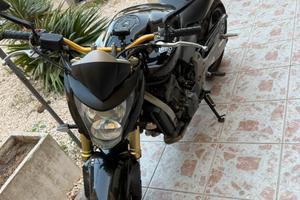 Hornet 600 2007