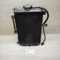 RAIATORE SUZUKI BURGMAN 650 2003 2007